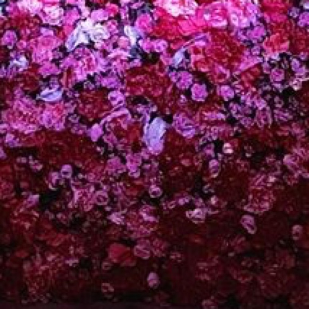 Meet your Posher, Antonia